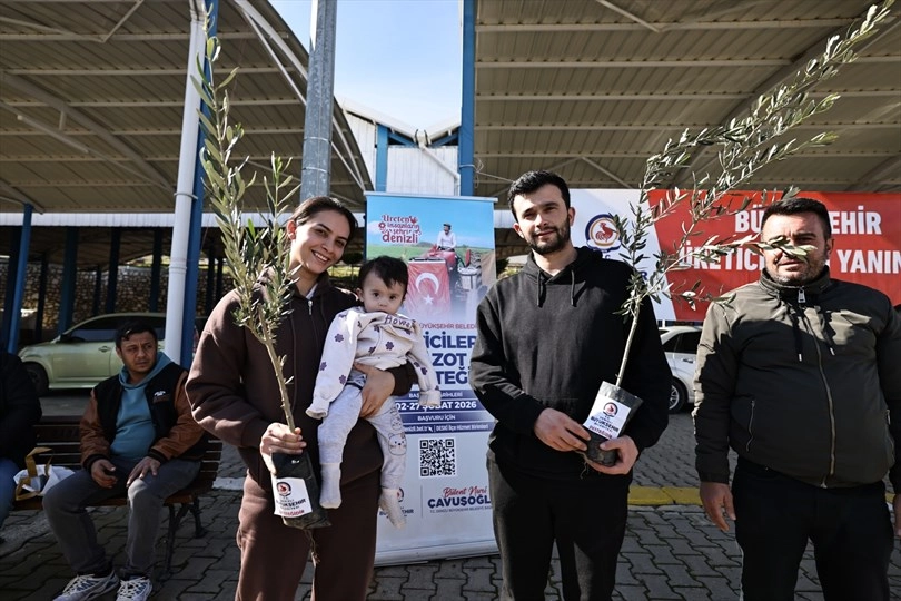 Denizli Büyükşehir’den üreticiye zeytin fidanı desteği