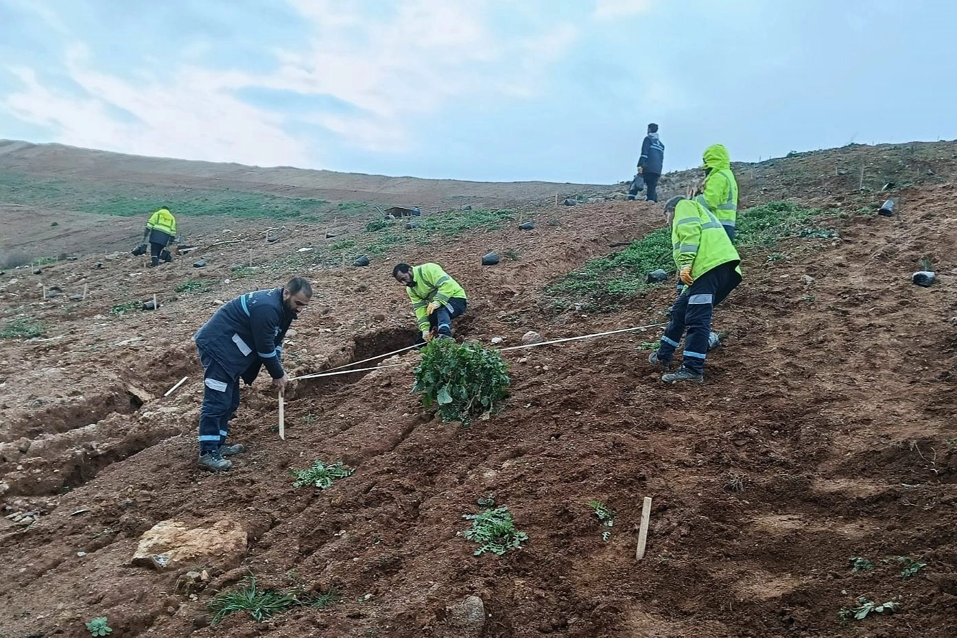 Kocaeli Gebze'de Büyükşehir’le yeşile dokunuş