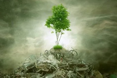 ÇED 'gerekli değil' kararı kaldırıldı! Yönetmelikle süreçler değişti