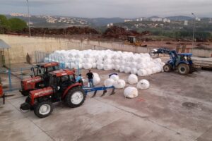 İzmit’te yüzde 100 hibeli silaj başvurularını uzattı