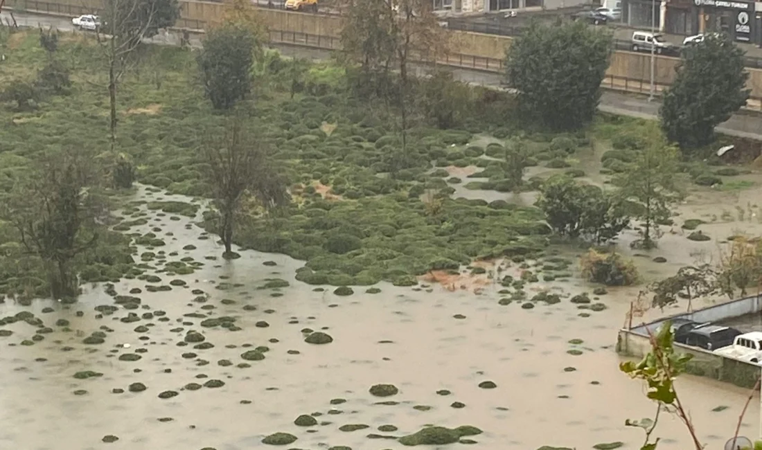 Rize’nin Çayeli ilçesinde meydana