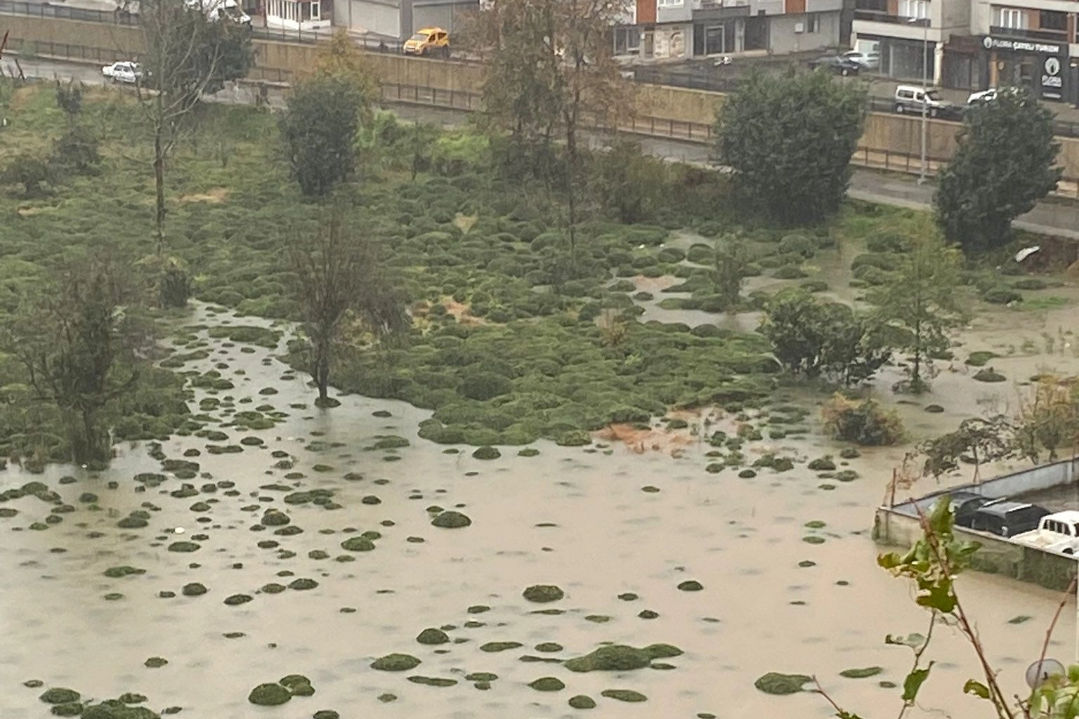 Rize Çayeli’nde heyelan! CHP: Bu tür afetler kader değil, basiretsizliktir!