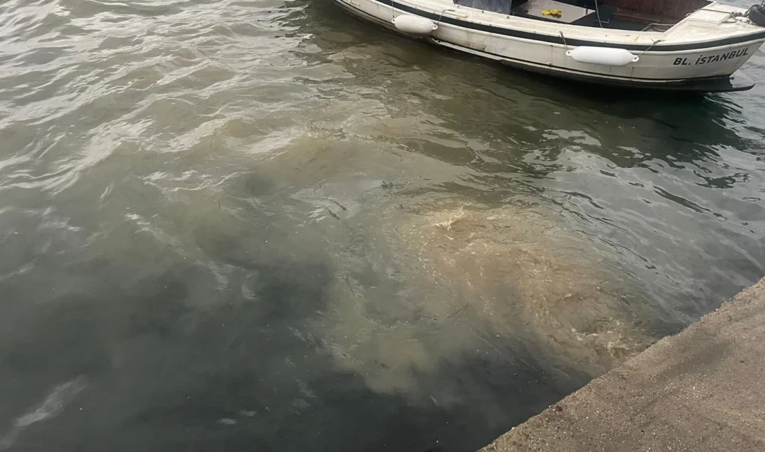 Çevre, Şehircilik ve İklim Değişikliği Bakanlığı, İstanbul Üsküdar’daki Kuleli Askeri